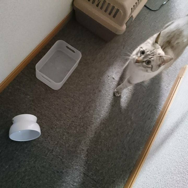 16272b59 2222 4671 94a1 8c107a0d1f3c