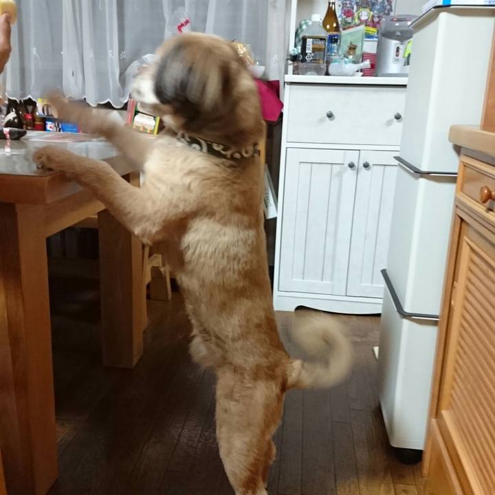 1627759c d98e 4088 82d3 774c0c39c3dc