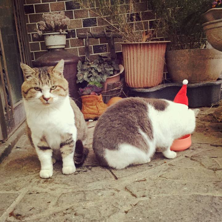 16278714 e823 4c8a 99ab e31741d87072