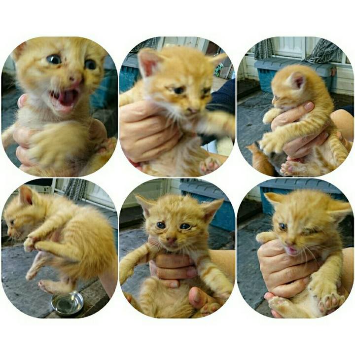 1627f392 22bd 4604 ada5 e65b8a33abb3