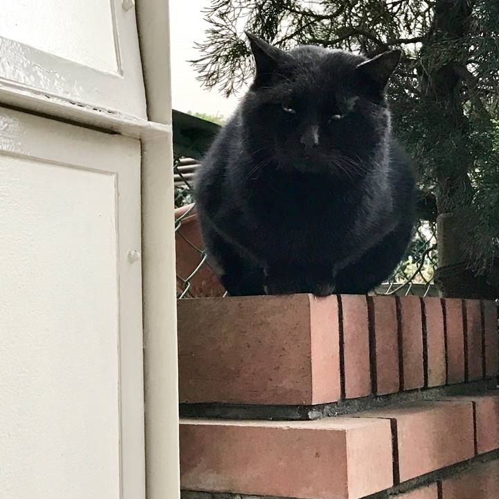 16284317 e8e7 4921 8455 ab094799f0f2