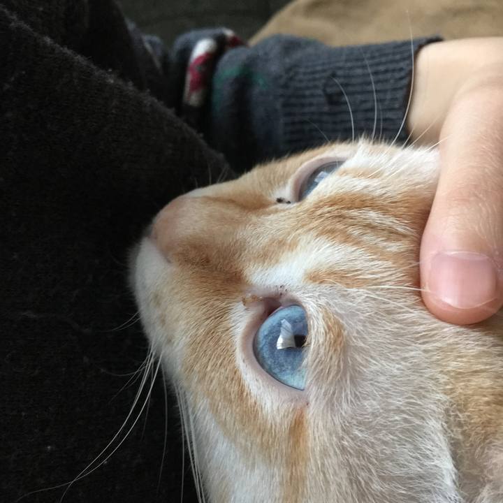 1628704c 8ce2 4578 936b 7d9e8fcbc333