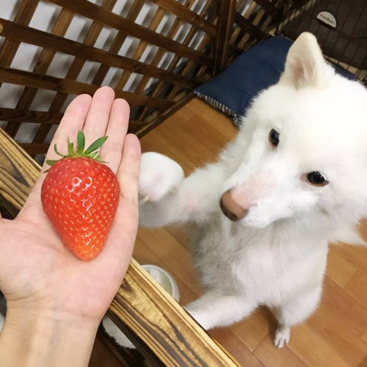 162889f0 fa0f 4626 85d1 48278cb70efd