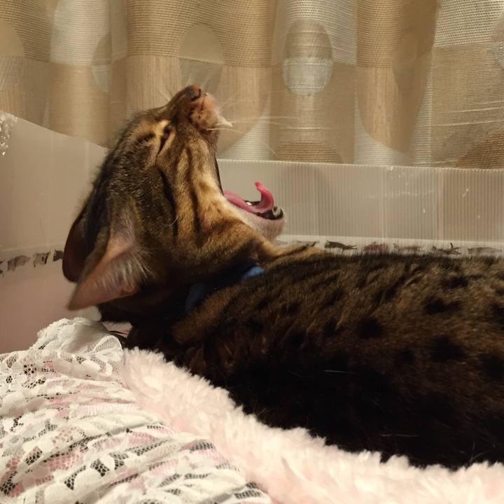 1628aaed 5547 4b7d 8e63 3e8630267758