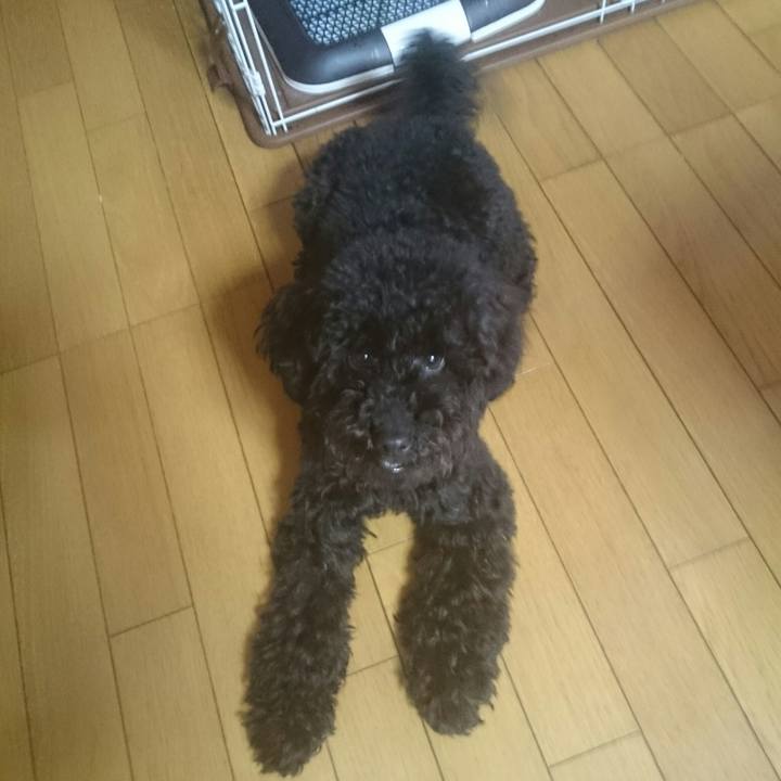 162914eb 3562 4d76 9eb1 a535bf8dd6c2