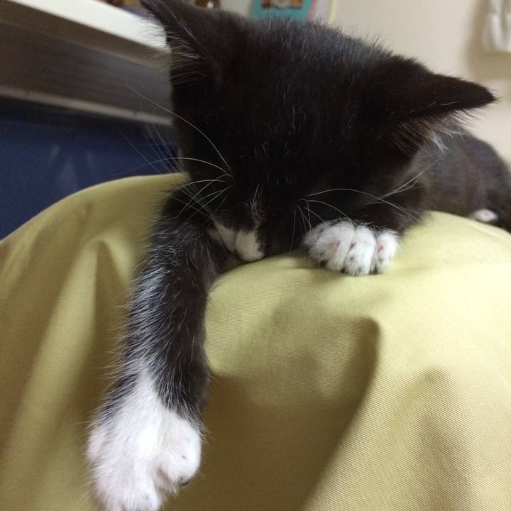 16291fab e3b7 4114 89d5 8267b7208568