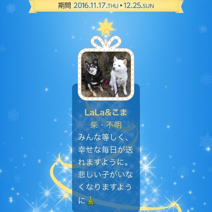 1629ce73 ad3d 44fa ab2a f275000c105d