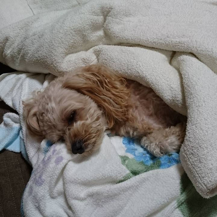 162a3bfc debb 4e5d 827a 02dedf387829