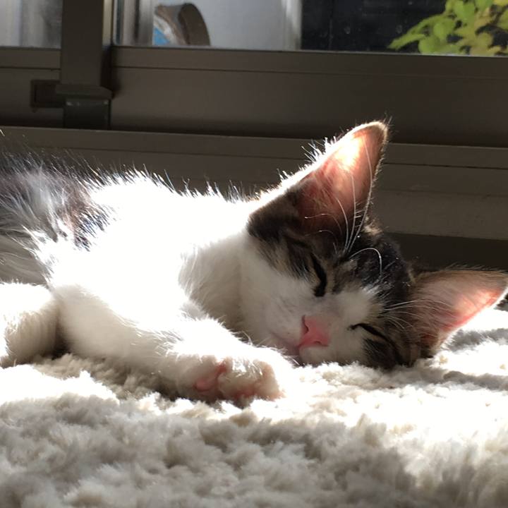 162ad7b2 9672 4028 b408 4ca9d4e3b321