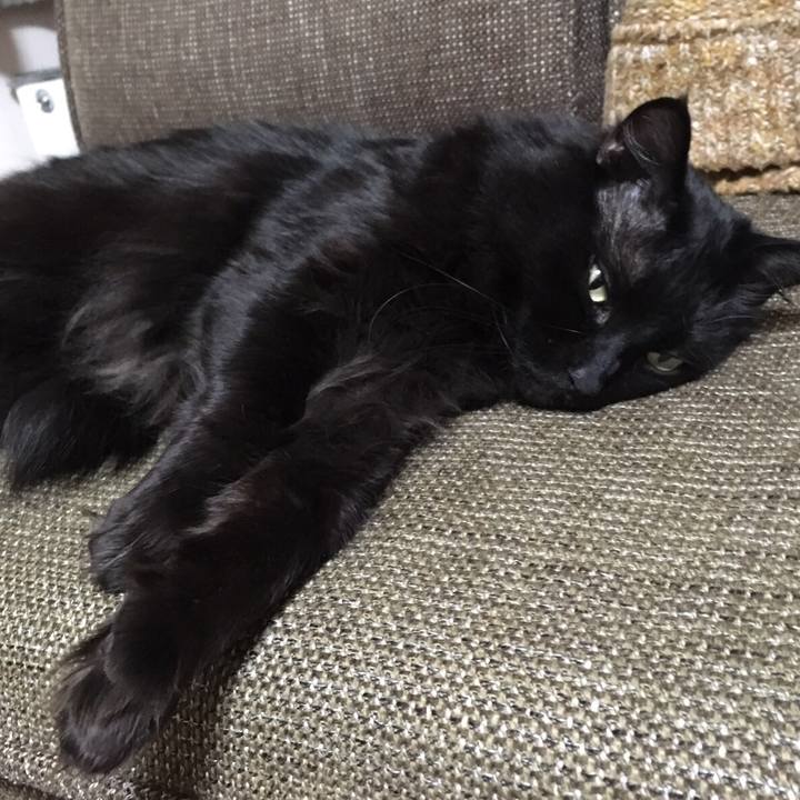 162baa8b e9de 4a2c 82d9 b9e7772fdf70