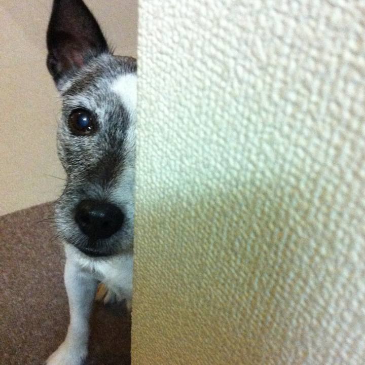 162c267f ffa6 411b bd88 3841762a63aa