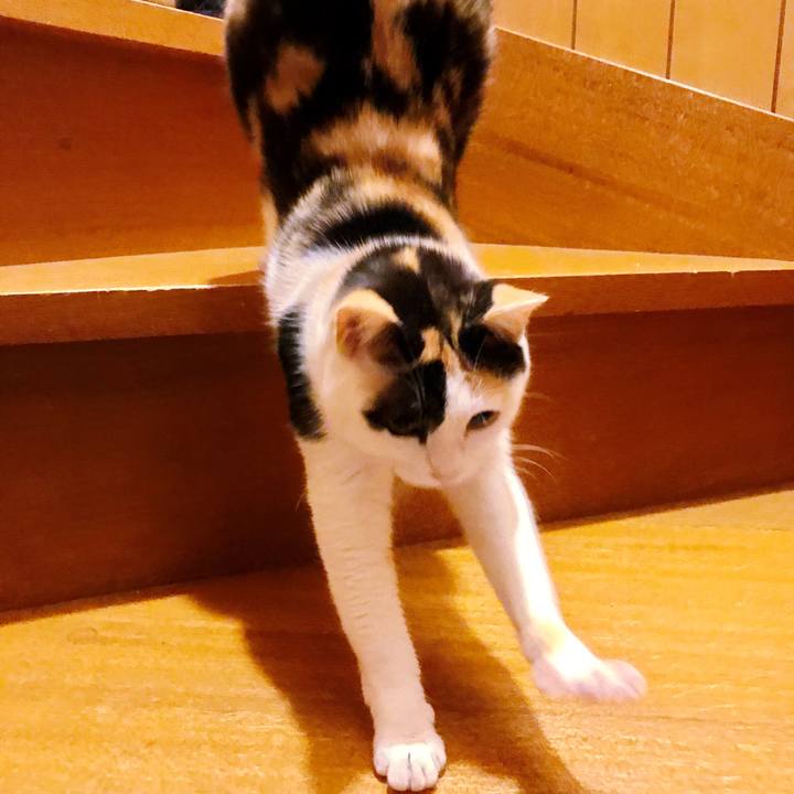 162c26c1 1db6 4faf 916b ac943f91acfa