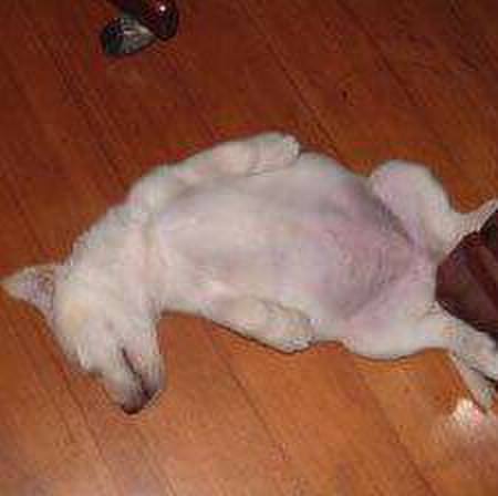 162ce8dd 7b8e 44be b1e4 0e3da5145788