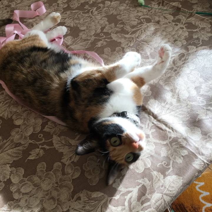 162d8812 d91a 4196 bb77 10ab5ffb90ee