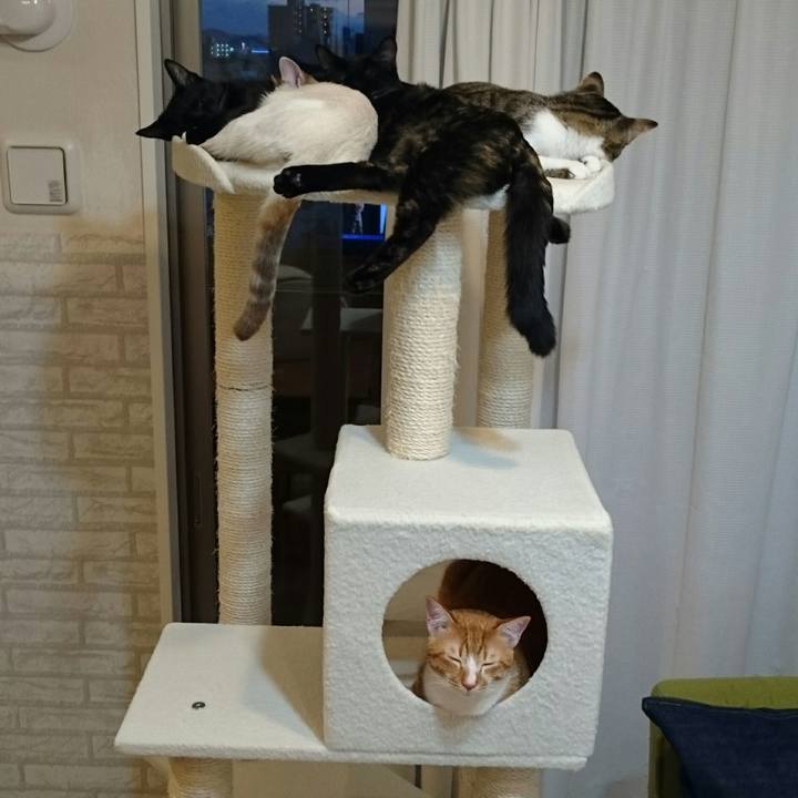 16314082 b5ce 4938 af74 098ecbb1b9f1