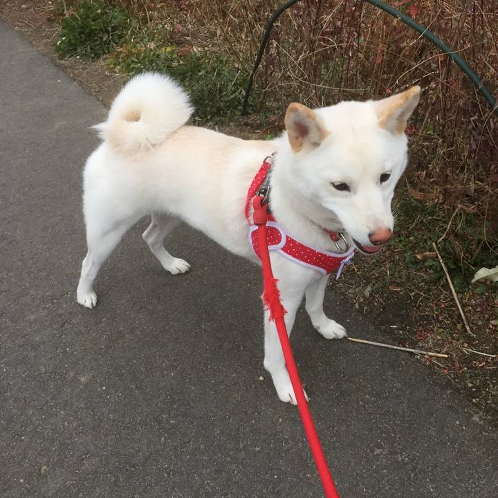 16316374 fb4f 4bd9 aeb2 faf5e01b3de9