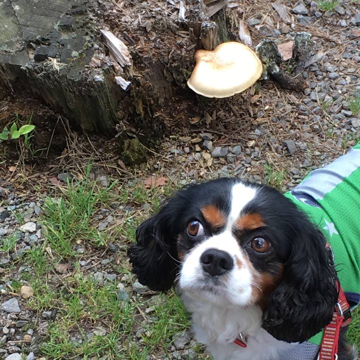 1631d69c f20f 476c 97f4 839b5886f1dc