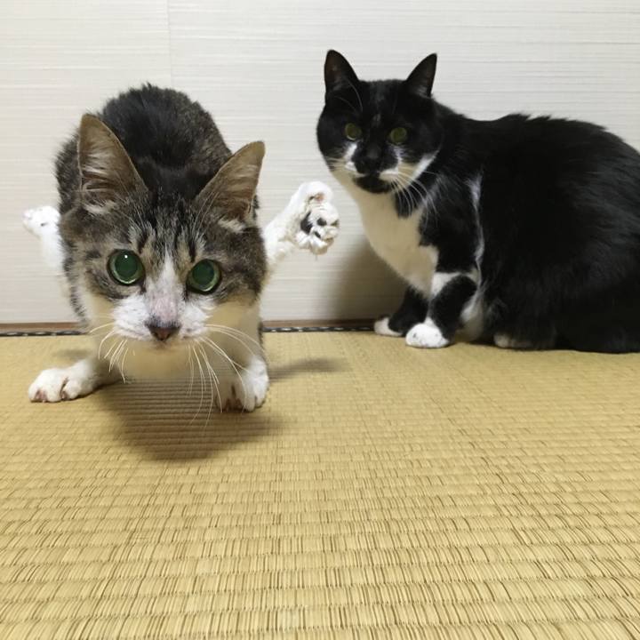 16320aec 5cde 4cbc 9454 7fac7f70c56e