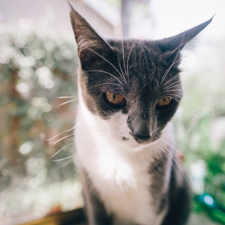 16321da1 83a5 49cf 91c6 74a03dfb7df3