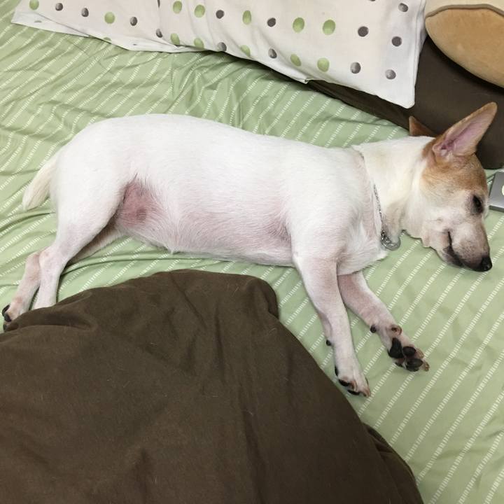 16322241 98e5 4e5e acde 3f3235718d57