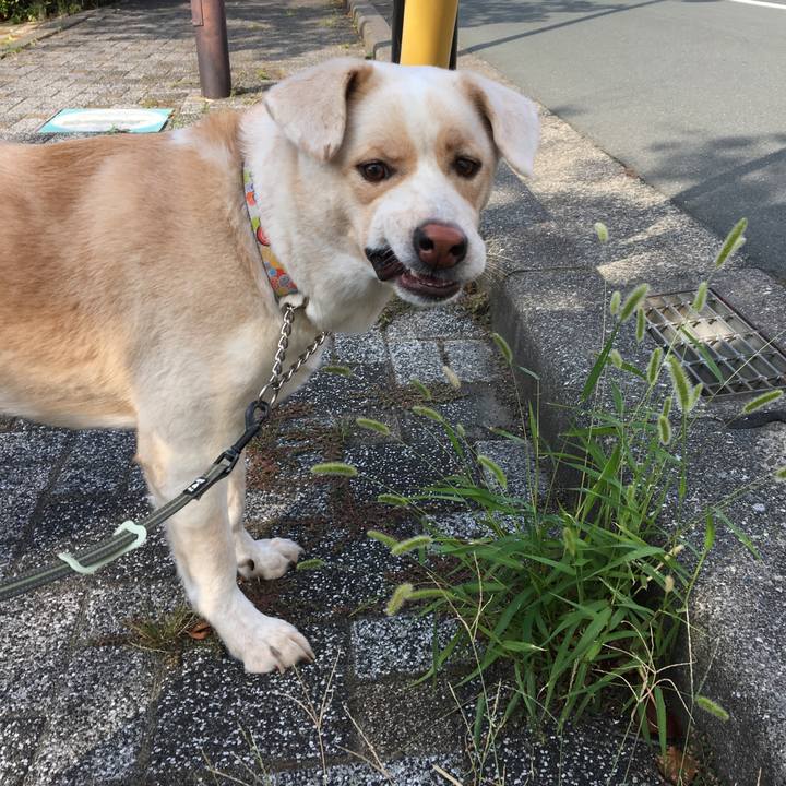 1632d8b0 05e7 4a95 9a93 89ef46087391