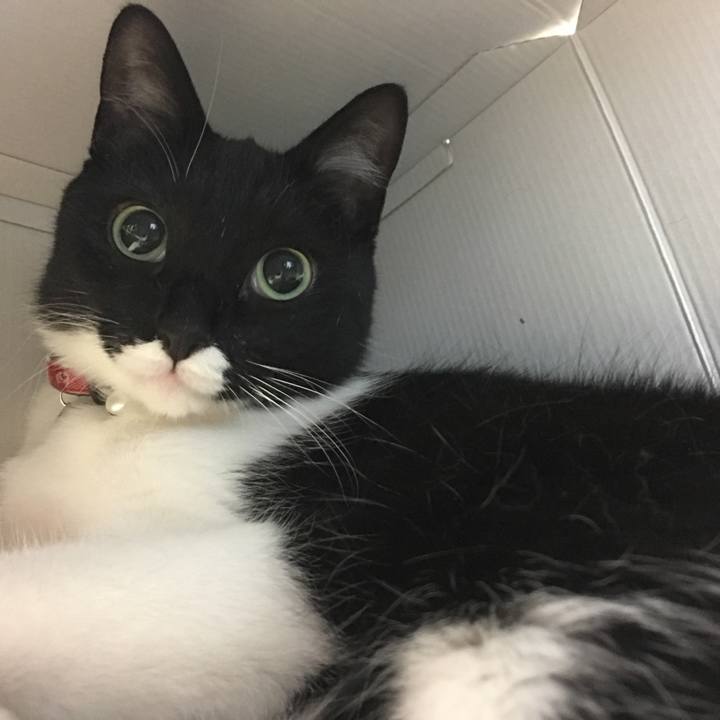 1632fa2d 535a 419f 83bd db47649275a0