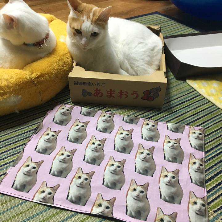 16347ce4 1013 47ec 9978 73b9455eff1a