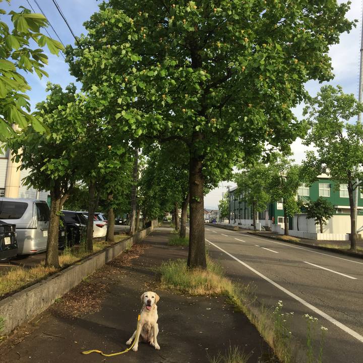 16349118 fa3c 4155 b69d fde410614303