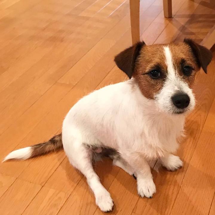 1635acf3 7e2d 4c8a 9e86 76aa67dd5b45