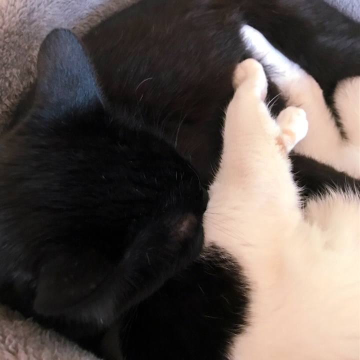 163694ef 8549 40bc a6cc 4e4218aad8e9