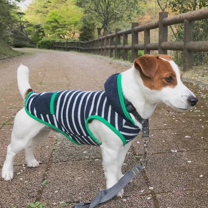 1637691f fb5b 4593 aebb bce41cf789ec