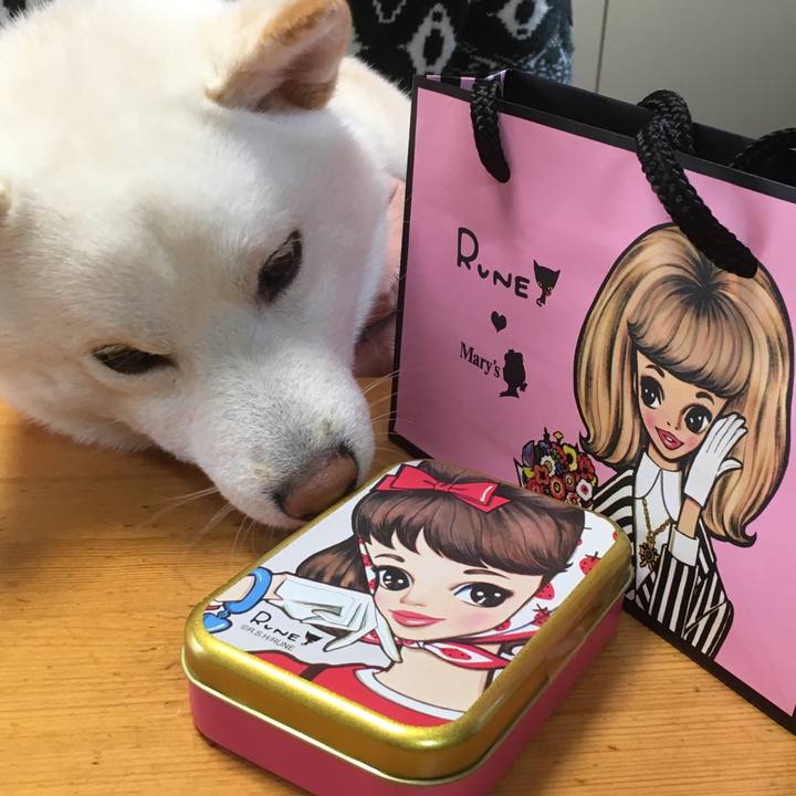 16380511 c716 4bcb b5d2 1afc55f5f912