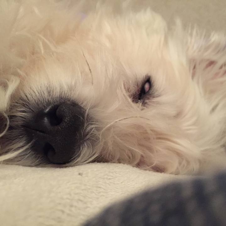 16380fbb a21c 4d34 b0b6 73f9e91ac379