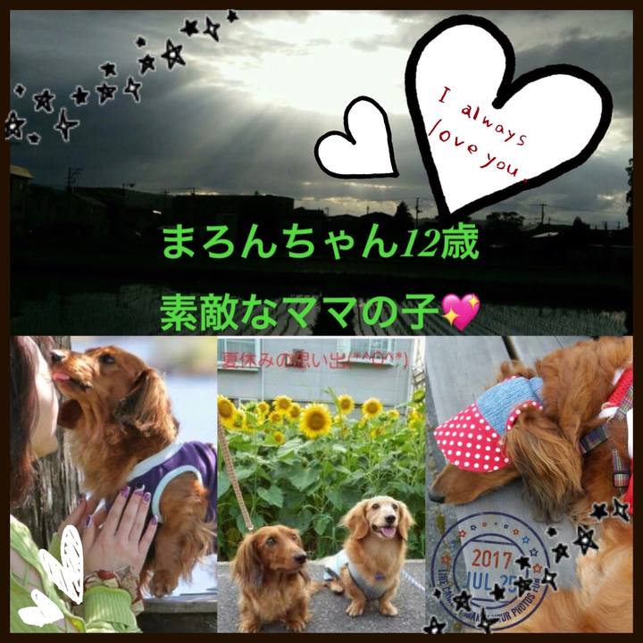 1638512a c031 44fe b84d 573c6d761a4a