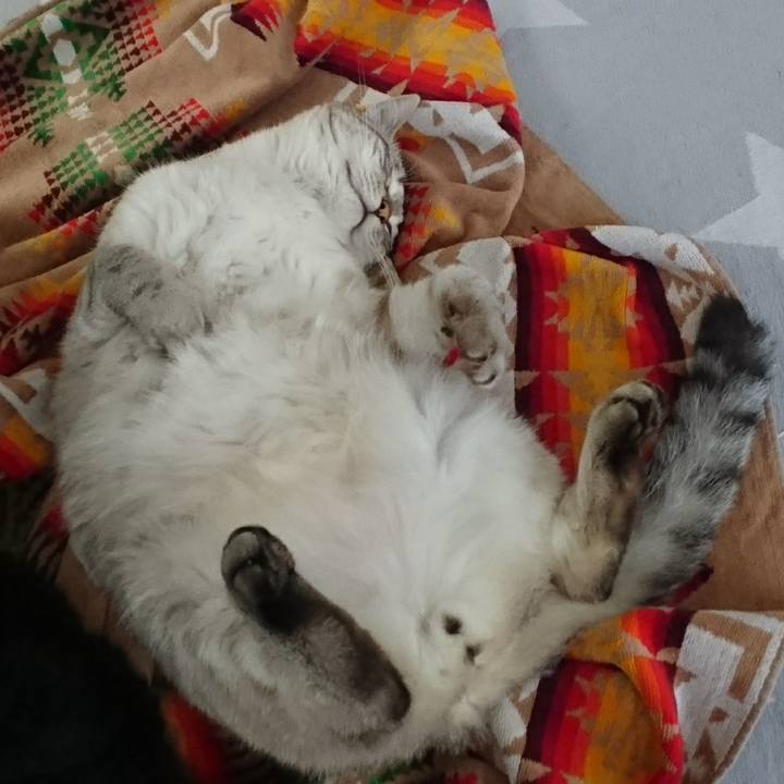 163880d7 2bd3 4835 a28a ab75dc88203f