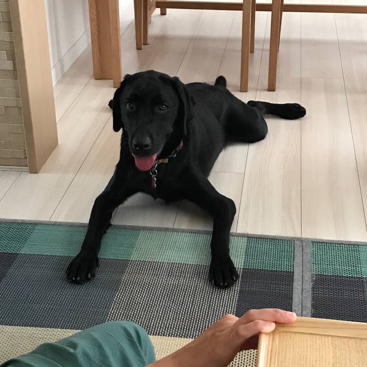 1638822c 71c0 419a 8a04 a68560994f95