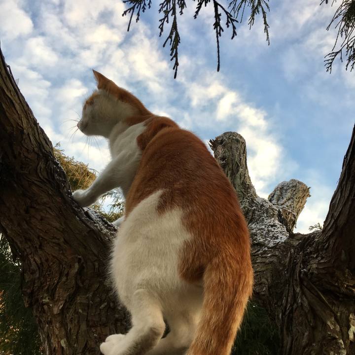 163883c2 8d01 4031 9f95 82bd2035fd66