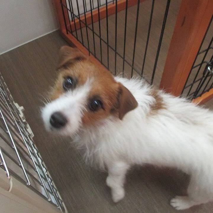 16393004 2c4b 4774 9da3 30a0ea84af64