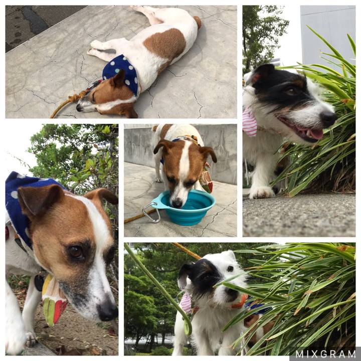 163a2a11 2149 4bc7 80cb 37474c586f82