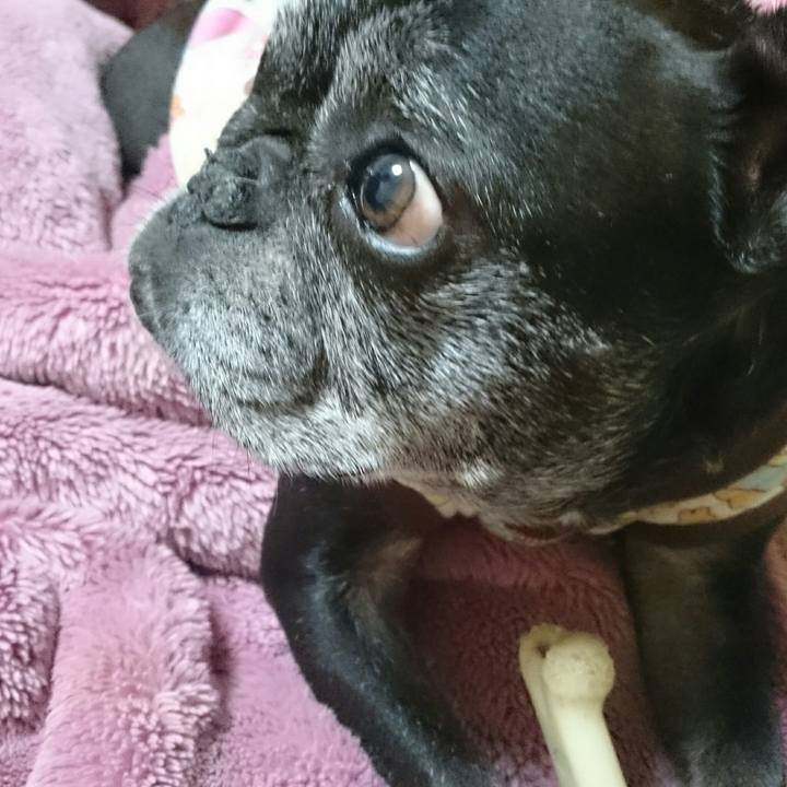 163a38a1 61bf 4bb8 90ce 9f9240127f8e