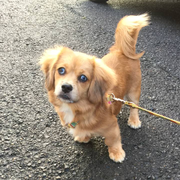 163ab637 449b 4f32 a148 3f08f4ac40e4