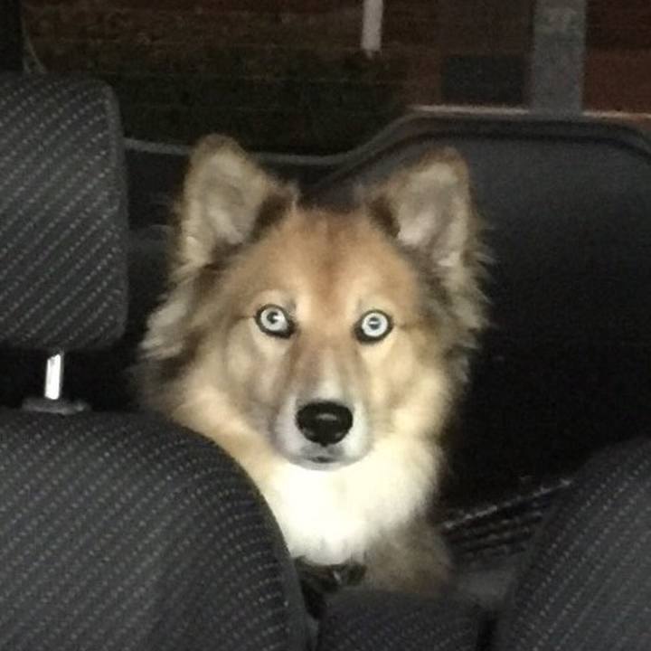 163b259e 42c9 4907 9ac8 fa9b322956f5