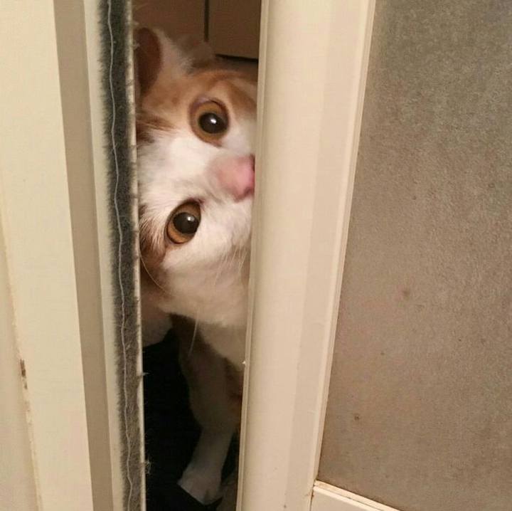 163b2dbc 3dfe 40ef 903c 1f65552671dc