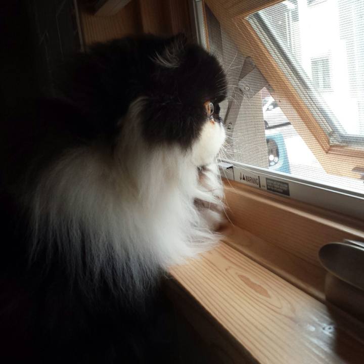 163b6646 faee 487d 9d4b b920594dc2e4