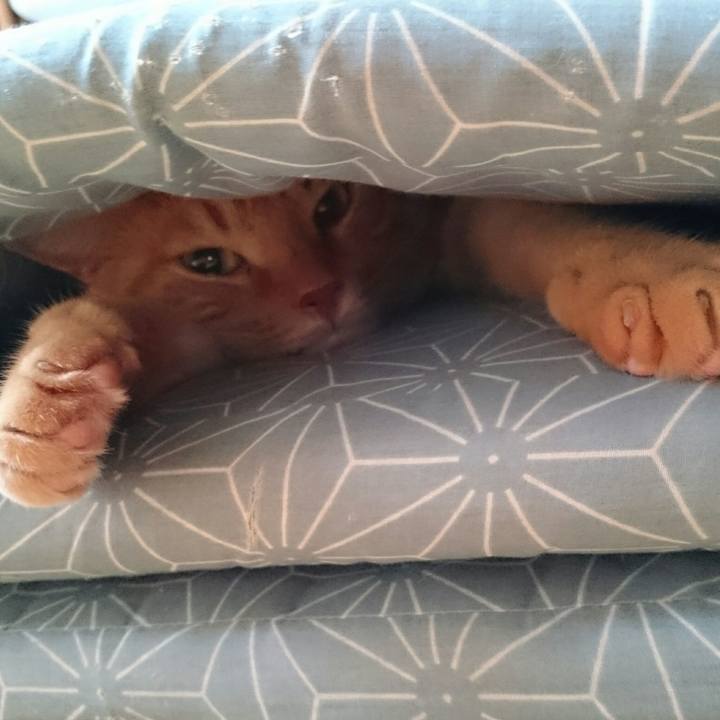 163bba88 d7de 4133 aff6 9f383e7e731a