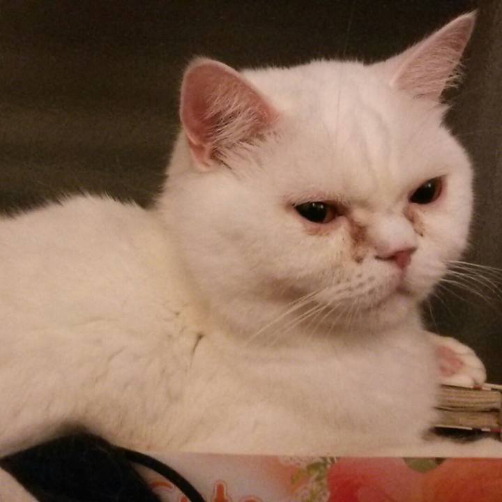 163c210b 1acc 444b aa24 9fb294dce746