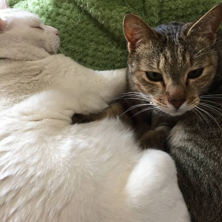 163c5e08 7b49 4127 8cc8 a052d3151e28