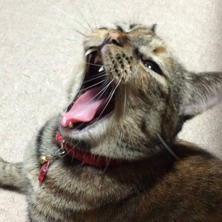 163cc0a1 13f3 4983 a8cf 681757d4ba28