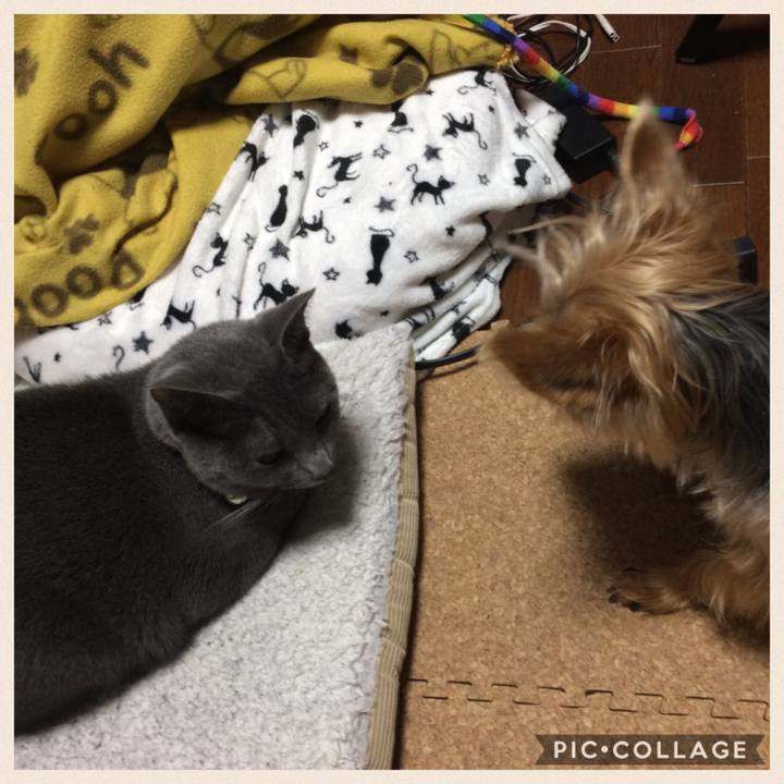 163cf35c c746 4e56 b066 abbadb864f02