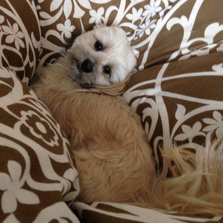 163cf53b 0b2b 4300 84dd 8389b6b6f1e1